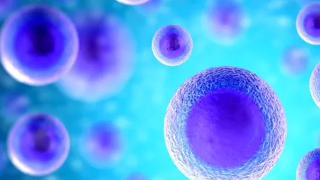 Celule stem - primul tratament în România
