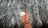 De ce presară grădinarii făină direct pe pământ! Trucul neașteptat care poate ajuta solul