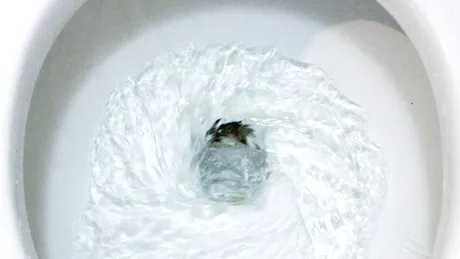 Soluția de curățare cu sare care albește toaleta, combate bacteriile și o lasă strălucitoare