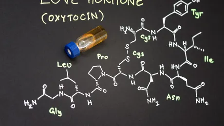 Oxitocina: un hormon ce ne ajută să fim mai conectați cu cei din jur