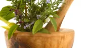 Plantele aromatice, reţeta unui organism tânăr şi sănătos!
