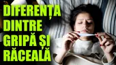 Cum faci diferența între gripă și răceală? Medicul primar boli infecțioase răspunde