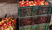 Mărul ras pentru diaree: de unde vine acest remediu și ce trebuie să știm despre el?