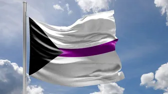 Ce înseamnă să fii demisexual și cum apare atracția în acest caz
