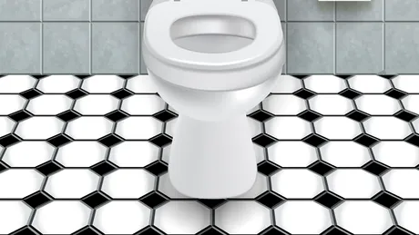 Cum poţi evita să contractezi o boală atunci când foloseşti o toaletă publică