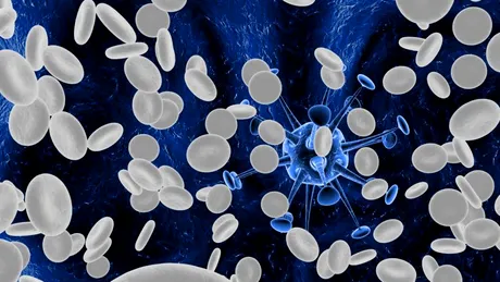 Leucocite (celule albe) mărite în sânge: ce semnifică