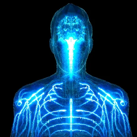 Microplasticele din corpul uman: Ce spun medicii despre riscurile pentru sănătate