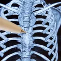 Organul misterios din corp care ar asigura longevitatea și ar putea acționa împotriva cancerului. I se mai spune și „sediul sufletului” sau „cimitirul de celule”
