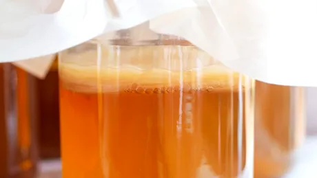 Kombucha chiar este benefică pentru sănătate? Ce spun, de fapt, studiile despre această băutură fermentată