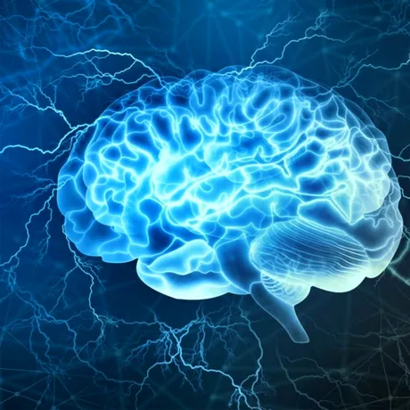 Băutura caldă de trei lei care reduce tensiunea arterială și îmbunătățește sănătatea creierului! Are efecte uimitoare