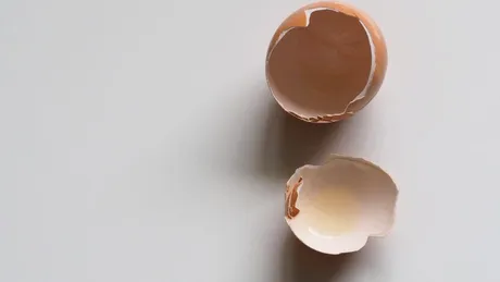 Cojile de ouă, ideale pentru sănătatea oaselor