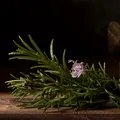 Planta aromatică ce poate susține memoria și concentrarea. Cum se folosește și ce contraindicații are