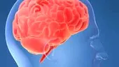 Nivelul de acizi grasi din creier, asociat cu dezvoltarea maladiei Alzheimer