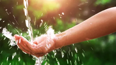 Cum să te speli corect pe mâini VIDEO