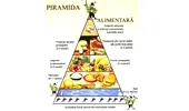 Piramida alimentară a omului sănătos: 5 grupe de alimente esențiale și porțiile corecte