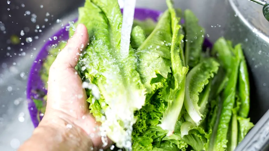 Tipul de salată pe care NU ar trebui să îl speli înainte de consum. Poate crește riscul de contaminare cu bacterii