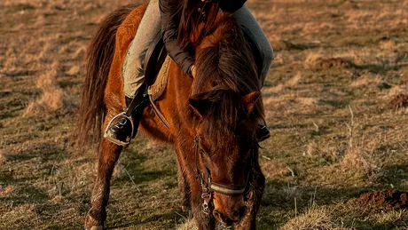 TOP 5 lucruri pe care să le faci în județul Harghita