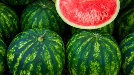 Motivul pentru care Mihaela Bilic nu recomandă consumul de pepene roșu fără sâmburi: Dezvăluirile nutriționistului vedetelor