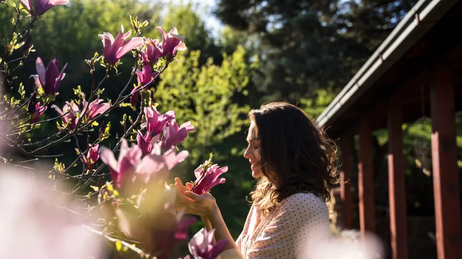 Copacul care aduce noroc dacă îl plantezi în aprilie. Tradiția spune că îți schimbă complet viața!