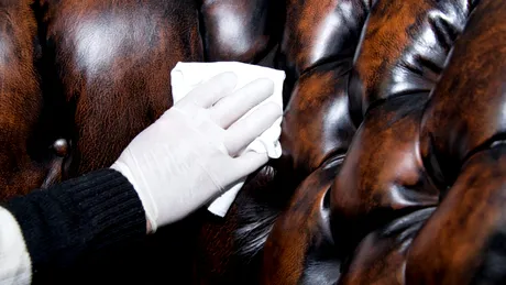 Cea mai ușoară metodă de curățare a fotoliilor din piele. Ai nevoie doar de două ingrediente din bucătărie