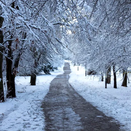 Un front polar loveşte din nou România. Vin ploi în toată ţara, lapoviţă şi ninsori în zona montană