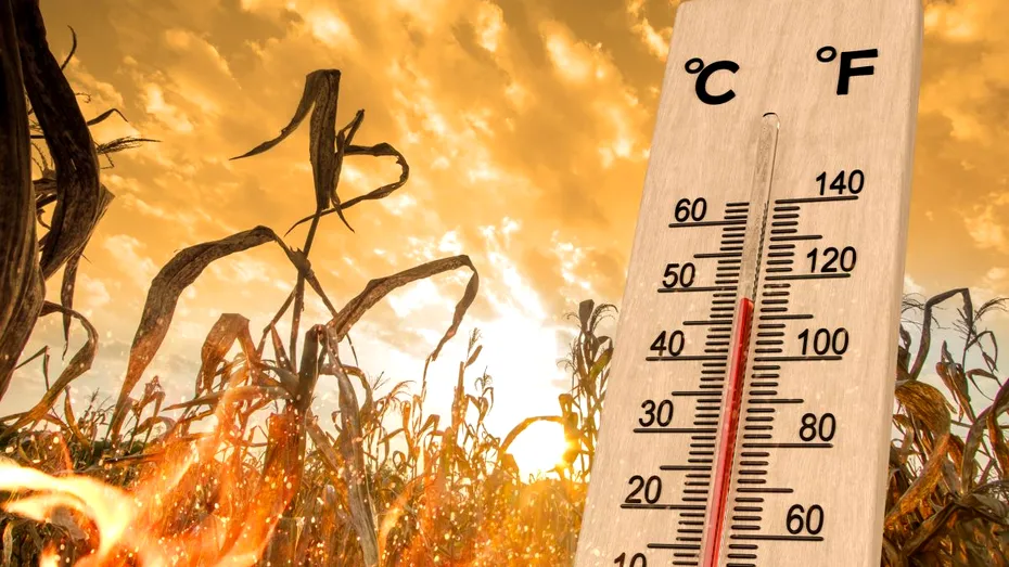 Revine vremea călduroasă în următoarele zile. Temperaturile vor urca până la 35 de grade Celsius