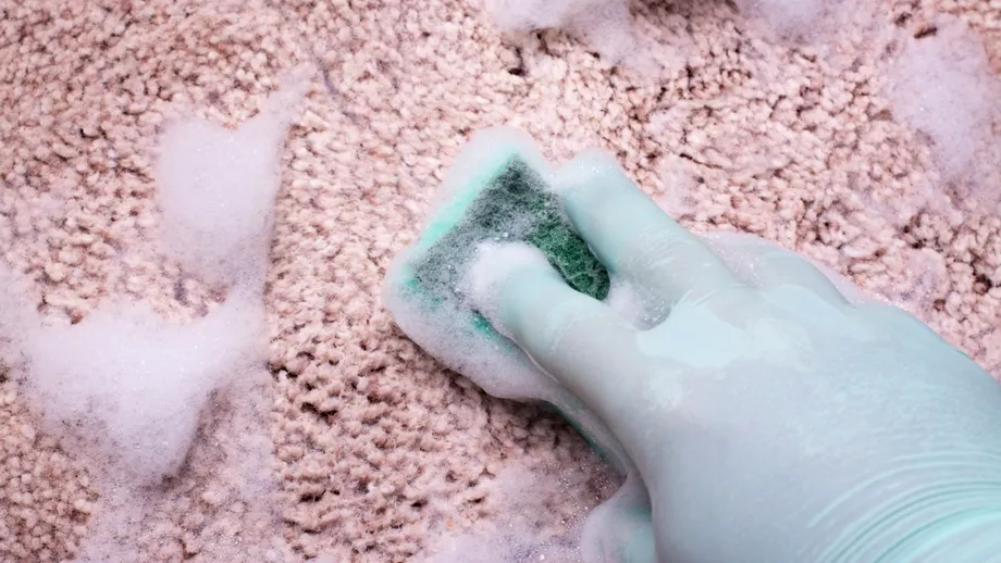 Soluția naturală care te scapă de petele de pe covor. Se face în casă din două ingrediente