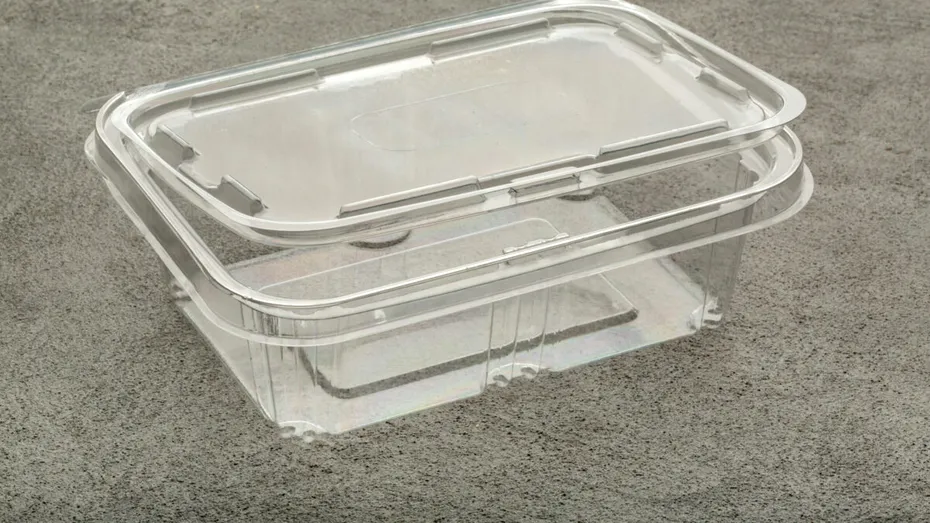 UE interzice ambalajele din plastic în restaurante. Care sunt noile reguli și de când intră în vigoare?