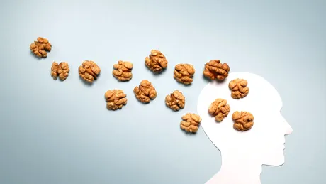 De ce sunt considerate nucile hrana perfectă pentru creier