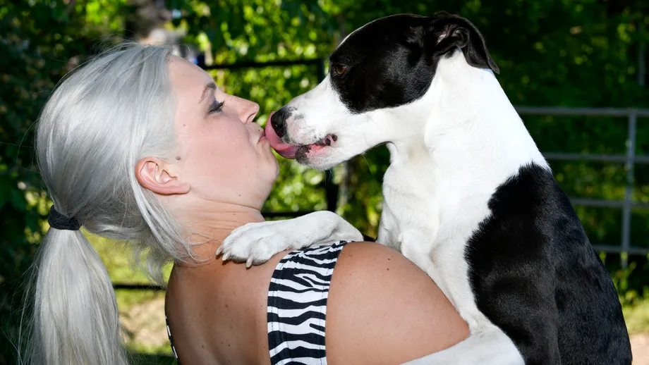 Săruturile câinelui tău sunt periculoase? Gestul adorabil al animalului tău de companie poate fi o amenințare