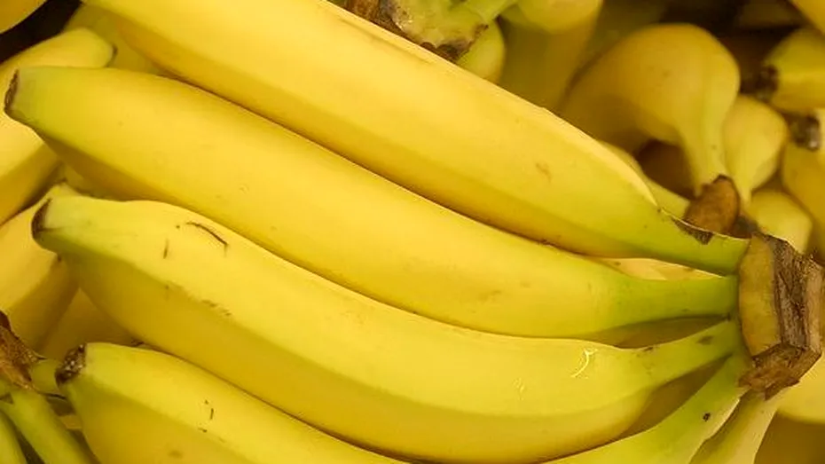 Culturile de banane sunt în pericol la nivel mondial