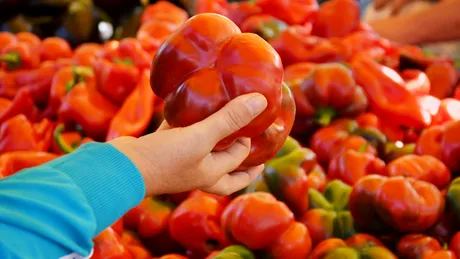 Gogoşarii, vedetele sezonului. De ce este bine să îi consumi - VIDEO by CSID