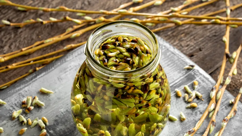 Gemoterapia, calea sigură spre un stil de viață sănătos