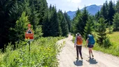 Comunicat de presă: De la burnout la „vreau să demonstrez că pot”: cine sunt oamenii care au ales 10 zile de stres bun pe Via Transilvanica. Primele tipologii identificate în studiul MedLife