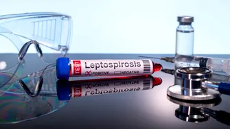 Leptospiroza: boala bacteriană care poate apărea după contactul cu apă contaminată. Cum se transmite, ce simptome are și cum poate fi prevenită