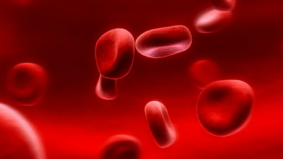 Hemofilia, boala care afectează unul din 10.000 de bărbaţi