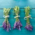 Lavanda înflorește an de an dacă o îngrijiți încă de pe acum! Un singur ingredient natural face minuni