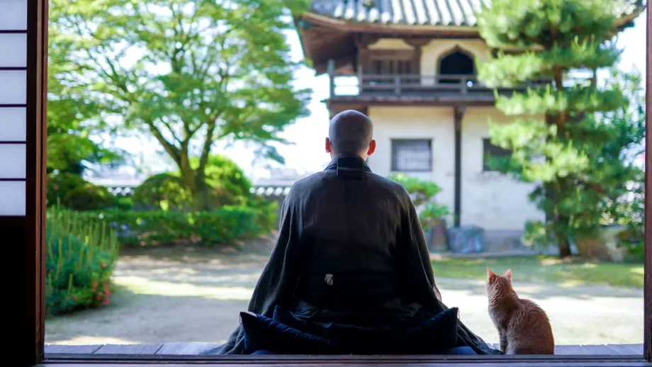 Înțelepciunea japoneză care reduce tensiunea și te ajută să treci peste orice