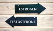 Hormonii sexuali – estrogenul și testosteronul. Importanța lor pentru viața sexuală