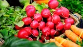 Sunt sigure fructele şi legumele româneşti pentru consum? Iată ce spune un studiu