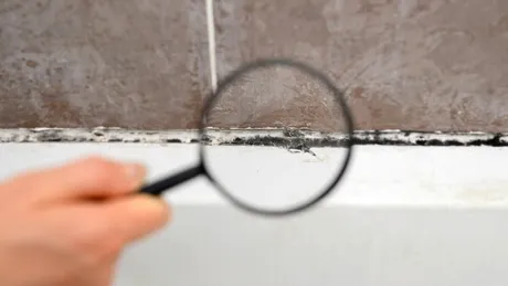 Cum cureți siliconul din baie rapid și eficient: Ingredientul din bucătărie care dizolvă mucegaiul și murdăria