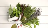 Ierburi care curăță plămânii și calmează tusea. Remedii naturale eficiente