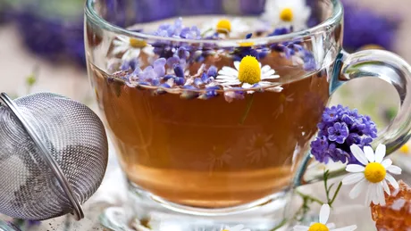 Ceaiul de lavandă ameliorează crampele menstruale. 4 beneficii de necontestat