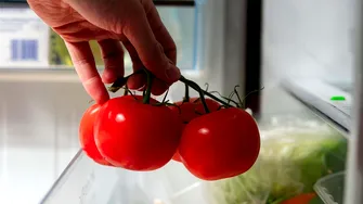 Unde trebuie ținute roșiile: în frigider sau la temperatura camerei?