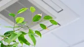 Aerul condiționat de la birou îți poate afecta sănătatea? Semnele care ar putea indica o problemă ascunsă