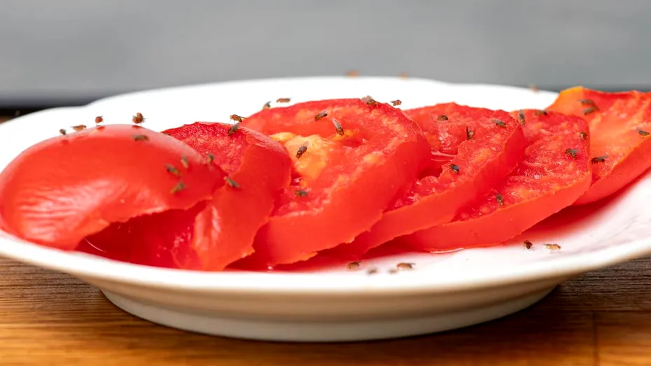 Trucul natural pentru a scăpa de musculițele de fructe, cunoscute și ca „musculițele bețive”