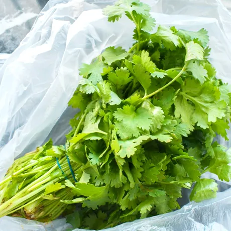 „De ce gustul de coriandru e ca săpunul pentru unii?” Explicarea fenomenului neobișnuit