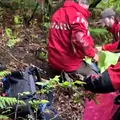 Băiețelul de 5 ani din Sibiu, dispărut de două zile, a fost găsit în viață: „L-am luat și l-am scos într-o lizieră”
