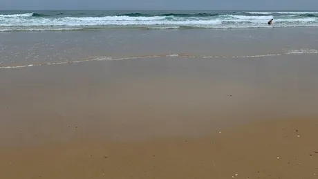 3 vacanţe cu Fitbit