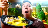 Un tânăr youtuber a slăbit spectaculos, provocând reacții în lanț pe social media! Cum a reușit Nikocado Avocado să dea jos 115 kilograme